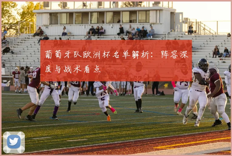 葡萄牙队欧洲杯名单解析:阵容深度与战术看点