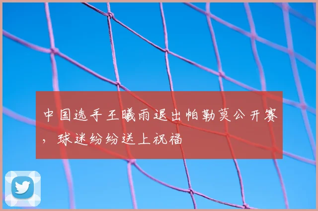 中国选手王曦雨退出帕勒莫公开赛，球迷纷纷送上祝福